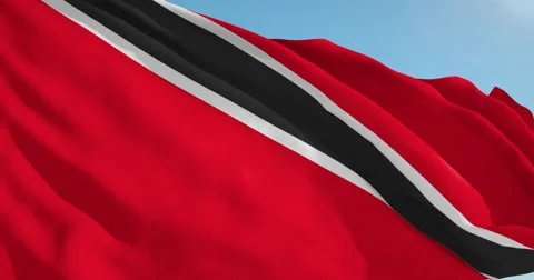 Beautiful looping flag blowing in wind: Trinidad Tobago Stock Footage 63118081