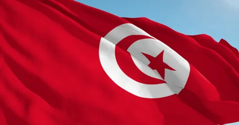 Beautiful looping flag blowing in wind: Tunisia Stock Footage 63119541