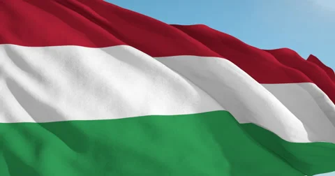 Beautiful looping flag blowing in wind: Transkei Stock Footage 63120239