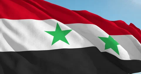 Beautiful looping flag blowing in wind: Syria 動画素材 63121952