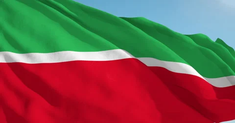 Beautiful looping flag blowing in wind: Tatarstan 動画素材 63123791