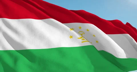 Beautiful looping flag blowing in wind: Tajikistan 動画素材 63124408