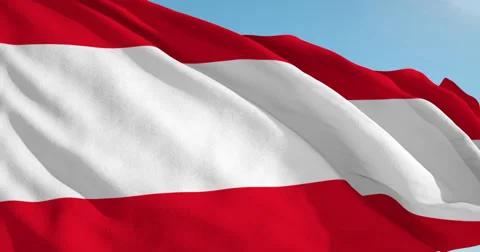 Beautiful looping flag blowing in wind: Tahiti Stock Footage 63125350