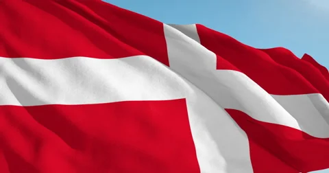 Beautiful looping flag blowing in wind: Sovereign Order Malta Vídeo Stock 63127243