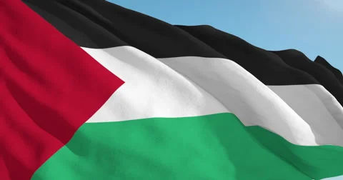 Beautiful looping flag blowing in wind: Palestinian Vídeo Stock 63130728