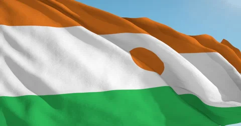 Beautiful looping flag blowing in wind: Niger Stock Footage 63135130