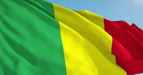 Beautiful looping flag blowing in wind: Mali Stock Footage 63141816