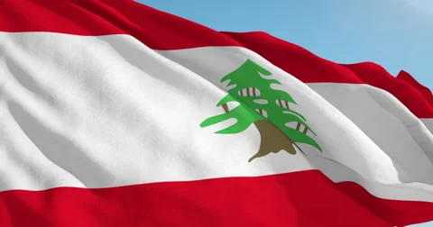 Beautiful looping flag blowing in wind: Lebanon Stock Footage 63148036