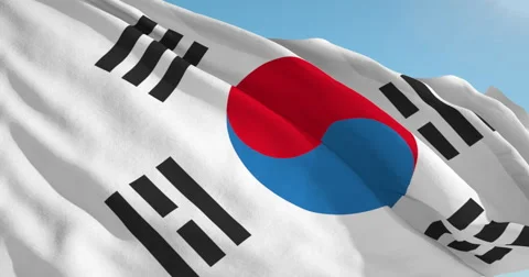 Beautiful looping flag blowing in wind: Korea South Video stock 63148630