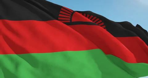 Beautiful looping flag blowing in wind: Malawi Stock Footage 63338989