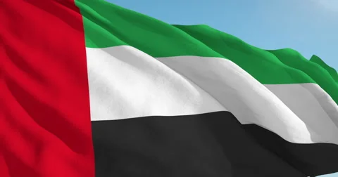 Beautiful looping flag blowing in wind: United Arab Emirates Stock Footage 63340296