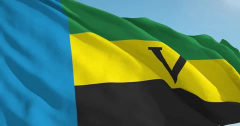 Beautiful looping flag blowing in wind: Venda Stock Footage 63343350