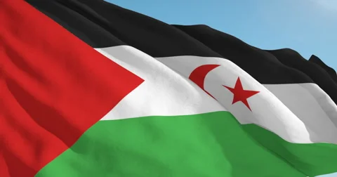 Beautiful looping flag blowing in wind: Western Sahara Stock Footage 63345728