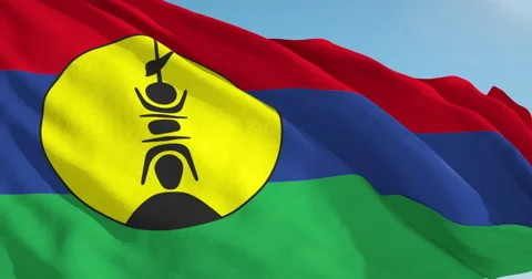 Beautiful looping flag blowing in wind: Kanaky 動画素材 63619431