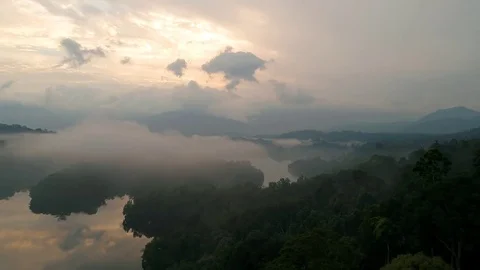 Beautiful low clouds hanging above rain forest. Видео 79289216