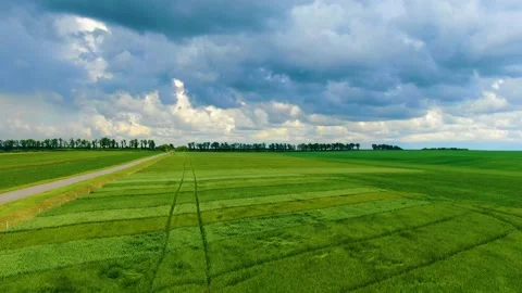 Beautiful low clouds over green wheat in the field Stock Footage 155592069