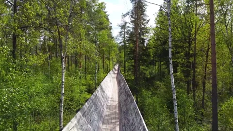 Beautiful Lumber Slide Surrounded by Trees, Flying Forward - Grovane, Norway Stock Footage 258289783