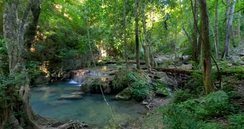 Beautiful lush green deep forest Erawan waterfalls in Thailand at national .. Stock Footage 320592362