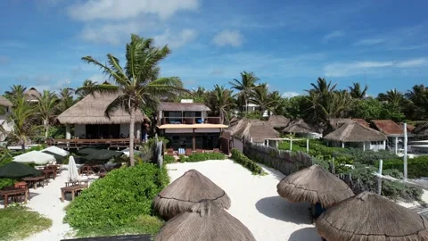 Beautiful Luxury Resort Beach Front Palm Trees Blue Skies Straw Huts Stock Footage