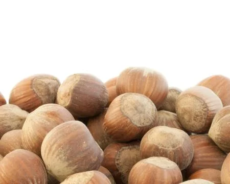 Beautiful macro background of  hazelnuts in white background Stock Photos