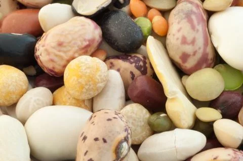 Beautiful macro of colored italian pulse soup Stock Photos