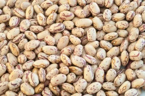 Beautiful macro of colored pinto beans Stock Photos