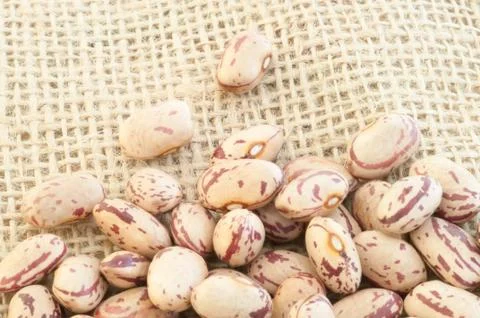 Beautiful macro of colored pinto beans Stock Photos