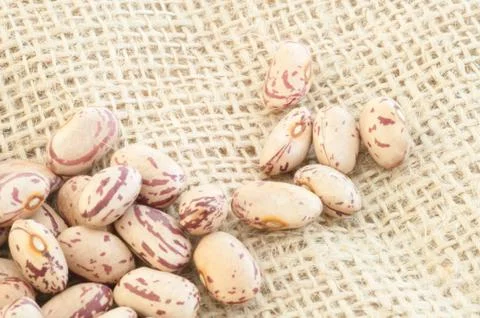 Beautiful macro of colored pinto beans Foto stock