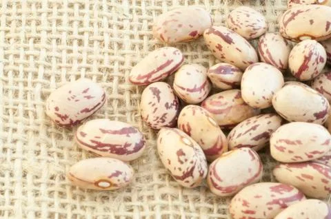 Beautiful macro of colored pinto beans Stock Photos