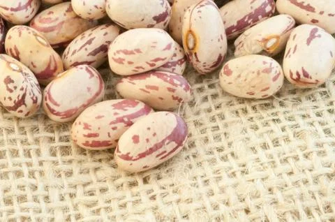 Beautiful macro of colored pinto beans Stock Photos