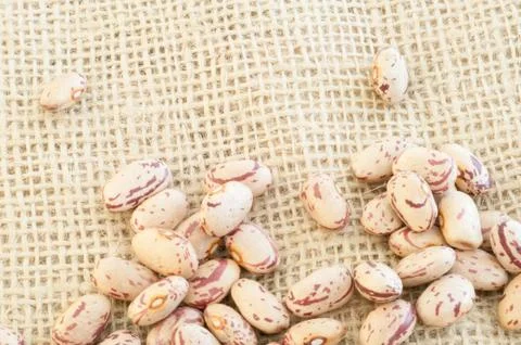 Beautiful macro of colored pinto beans Stock Photos