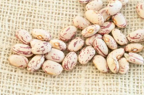 Beautiful macro of colored pinto beans Stock Photos