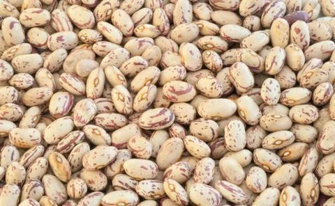 Beautiful macro of colored pinto beans Stock Photos