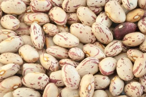 Beautiful macro of colored pinto beans Stock Photos