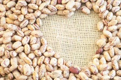 Beautiful macro of colored pinto beans Stock Photos