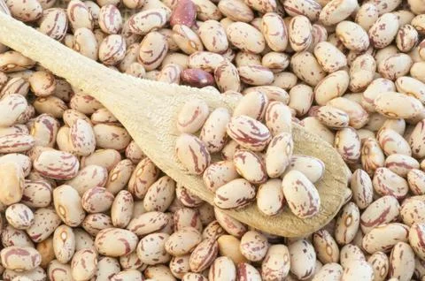 Beautiful macro of colored pinto beans Stock Photos