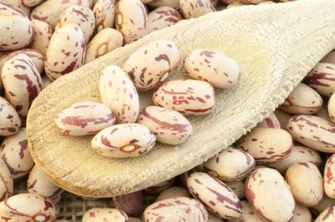 Beautiful macro of colored pinto beans Foto stock