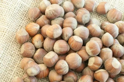 Beautiful macro of  hazelnuts on jute background Stock Photos