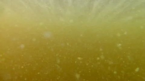 Beautiful macro shot of small and big air bubbles in the water going towards to Vídeo Stock 104569429