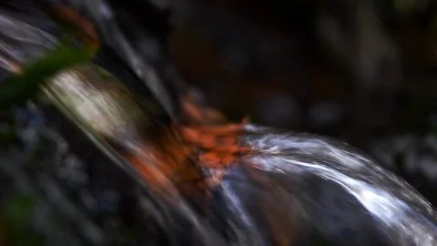Beautiful macro video of a tiny waterfall with a orange colored birch tree Stock Footage 98343845