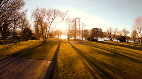 Beautiful magic hour light. aerial view. flying. shadow silhouette. trees woods Stock Footage 35254579