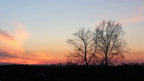 Beautiful magical landscape image with trees silhouette at sunset. Stock Footage 74541398