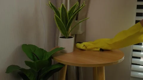 A beautiful maid is getting ready to clean the house, a maid is getting ready to Stock Footage 296670181