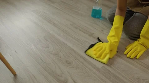 A beautiful maid is getting ready to clean the house, a maid is getting ready to Stock Footage 296670199