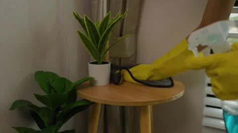 A beautiful maid is getting ready to clean the house, a maid is getting ready to Stock Footage 296670203