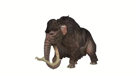 This is a beautiful mammoth. Video stock 323363286