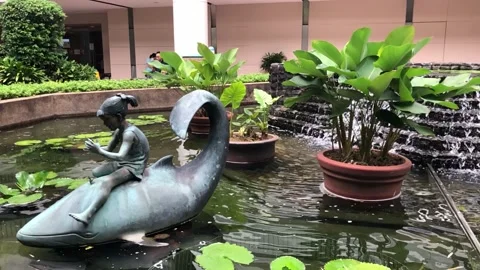 A beautiful man made pond Stock Footage 140877203