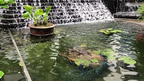 Beautiful man made pond Stock Footage 140878089
