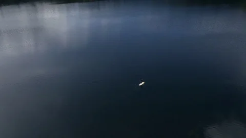 Beautiful man in wetsuit on a Stand Up Paddle Board on Lake Stock Footage 80987712