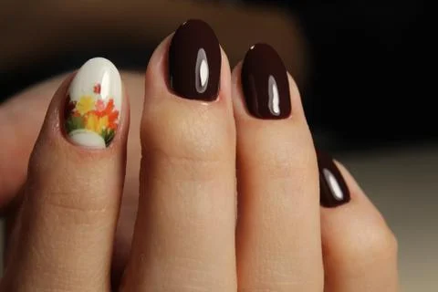 Beautiful manicure design brown with a pattern Stock Photos